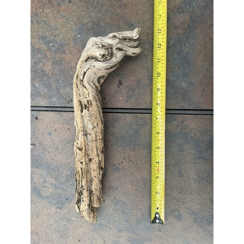 Natural Driftwood for Plants Terrarium Taxidermy Art Projects - Picture 3 of 4